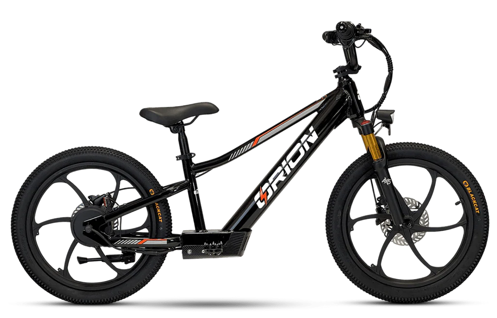 2025 Orion e20x – 20″ Wheel 500W 48V – Deluxe Electric Balance Bike